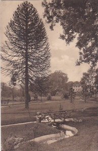 Switzerland Lausanne Dans le Parc du Royal Hotel