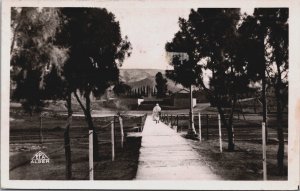 Algeria Ain Sefra Avenue du Monument aux Morts Vintage RPPC C196