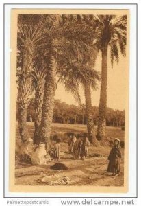 Biskra, Algeria, Dans la Palmeraies , 1910s