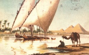 Vintage Postcard 1911 View of Nile Sailing Boats Camel Pyramids U. A. R. Egypt