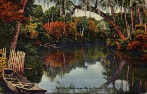 Florida Scene Along Beautiful Suwanee River 1947 Curteich