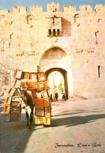 Israel Jerusalem St Stephen's Lion Gate