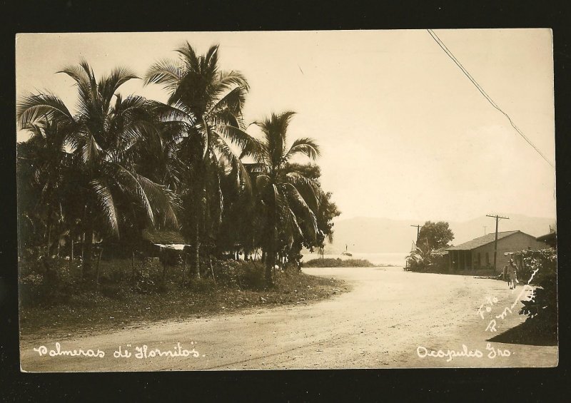 Panama Palm Trees Postmaked 1938 Cristobal Canal Zone Real Photo Postcard