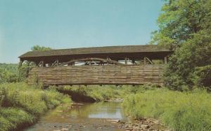 Old Covered Bridge at Whitepine near Williamsport PA, Pennsylvania