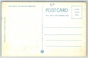 Mississippi River Power Plant  Keokuk  Iowa   Postcard  c1925