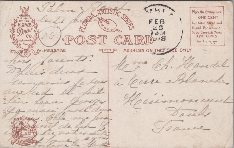 USA Ocean Avenue Palm Beach Florida Vintage Postcard 09.49