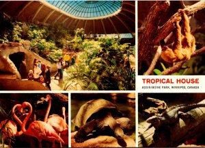 Canada Winnipeg Assiniboine Park Zoo Tropical House Multi View