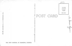 New Marina - Dunedin, Florida FL  
