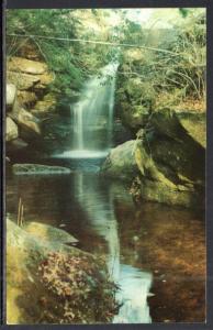 Rainbow Falls,Dismal Wonder Gardens,Phil Campbell.AL