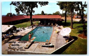 PARADISE, CA California ~ SKYWAY LODGE MOTEL ~ Pool  c1960s Roadside Postcard