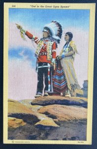 Mint USA Picture Postcard Native American  Indian Out In The Great Open Spaces