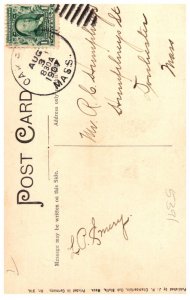 Massachusetts Oak Bluffs Old Consecrated Tree Hartford Park