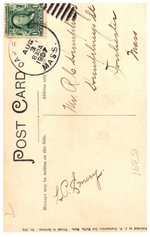 Massachusetts Oak Bluffs Old Consecrated Tree Hartford Park