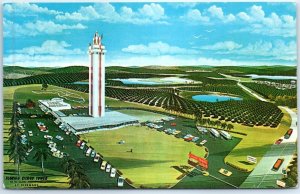 Postcard - Citrus Observation Tower - Clermont, Florida