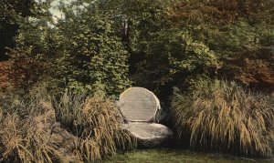 Snyder Park City of Fort Lauderdale Florida FL Vintage Postcard 1916