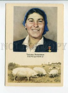 3170585 PERESHIVKO Pig farming Worker KOLKHOZ old Soviet PC