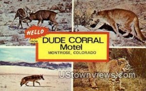 Dude Corral Motel - Montrose, Colorado CO  