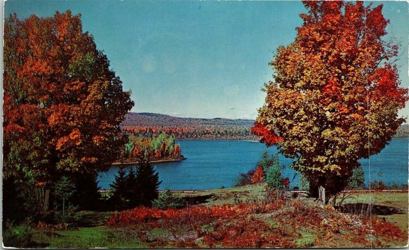 Lake Winnipesaukee White Mountains NH New Hampshire Fall Scene VTG Postcard UNP 