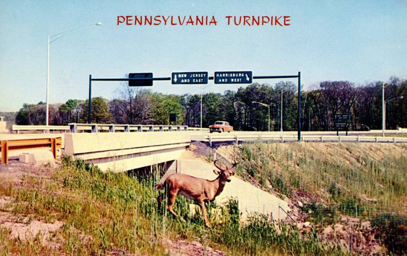 PA - Pennsylvania Turnpike. Fort Washington, Deer Crossing