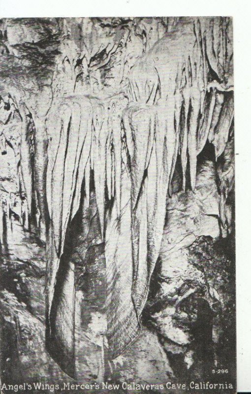 America Postcard - Angel's Wings, Mercer's New Calaveras Cave California  12242A