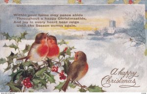 CHRISTMAS, PU-1909; Sparrow Birds perched on holly branch, Poem; TUCK G1812