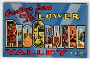 Greetings From Lower Rio Grande Valley Texas Large Letter Postcard Linen 1951