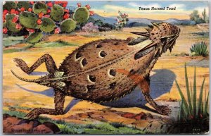 1945 Texas Horned Toad, Desert Scene, Vintage Postcard