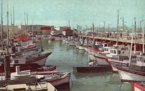 Vintage Postcard Fisherman's Wharf Picturesque Bit Little Italy San Francisco CA