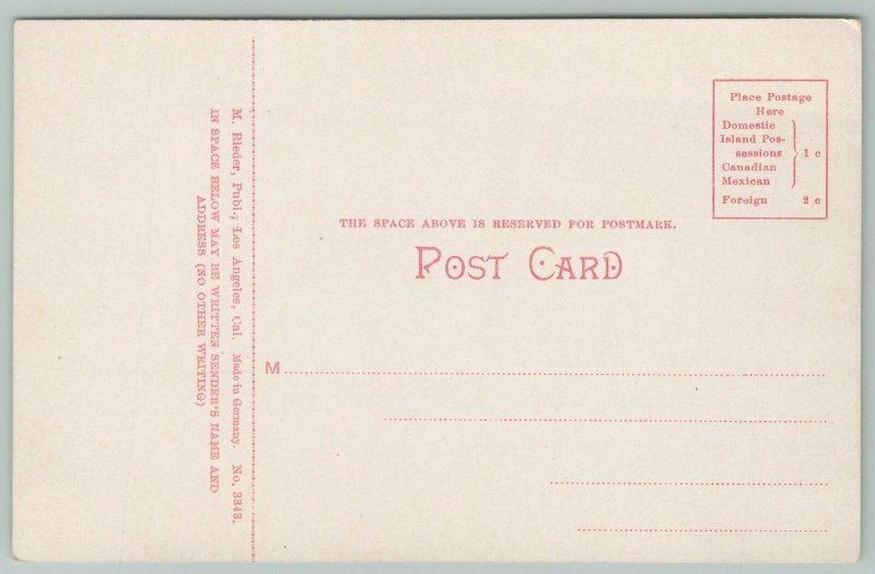 Ocean Park California~Moonlight scene on Pacific Coast~c1910 Postcard