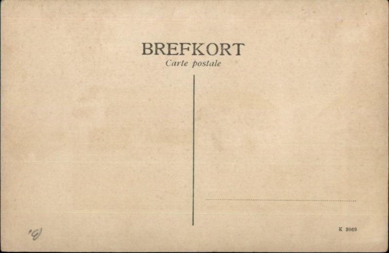 Stortorget Lun Sweden Street Scene c1910 Postcard