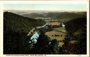 Aerial View Overlooking Scene on Susquehanna Trail Wellsboro PA Vtg Postcard B10