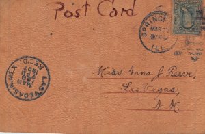 SPRINGFIELD ILLINOIS IL~AN EASTER GREETING~1907 LEATHER POSTCARD