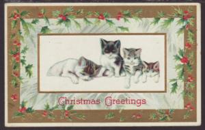 Christmas Greetings,Cats Postcard 