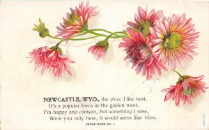 F89/ Newcastle Wyoming Postcard 1910 Greetings Flowers 1