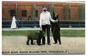 1906 Black Bears with Trainer at Roger Williams Park Providence RI Postcard