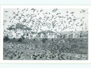 1940's LAKE SCENE Oakland California CA AE5324