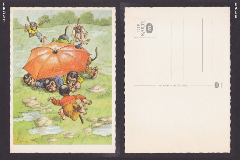 GERMANY, Postcard, Monkeys in the rain, Unposted