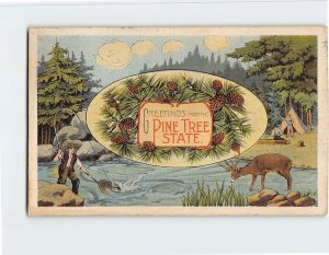 Postcard Greetings From The Pine Tree State, Maine