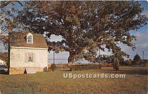 Wye Oak & Schoolhouse in Talbot County, Maryland