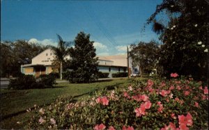 Mount Dora Florida FL Theatre 1950s-60s Postcard