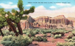 Vintage Postcard 1949 Joshua Palms Red Rock Cliffs California Desert Plants CA