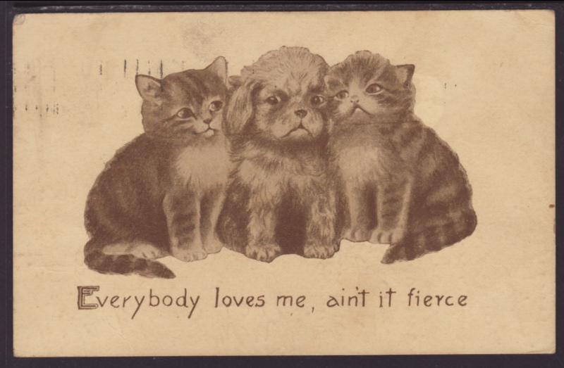 Everybody Loves Me...,Kittens,Puppy,Colby Comic Postcard