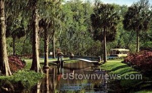 Azalea Borders - Silver Springs, Florida FL