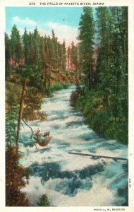 Vintage Postcard 1920's The Water Falls of Payette River Idaho ID Trees Nature