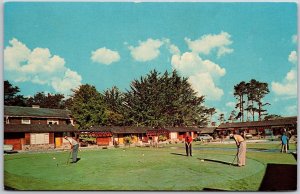 1975 Pacific Grove CA-California, Milar Butterfly Grove Motel, Vintage Postcard