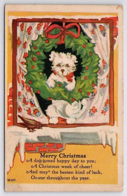 Christmas Greetings Darling Puppy Looking Through Window In Wreath Postcard C39