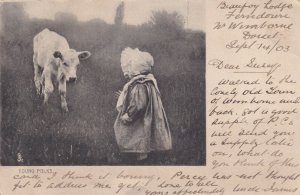 PU-1903; Young Folks, Calf And Kid, Country Life, TUCK 868