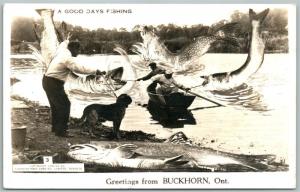 BUCKHORN ONT. CANADA FISHING EXAGGERATED VINTAGE REAL PHOTO POSTCARD RPPC