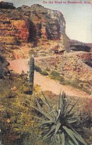 Roosevelt Arizona 1910 Postcard On The Road Desert Scene