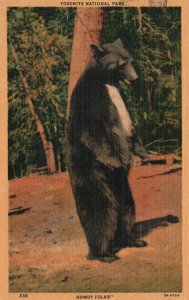 Vintage Postcard 1953 Yosemite National Park Howdy Folks Black Bear Deer Roam